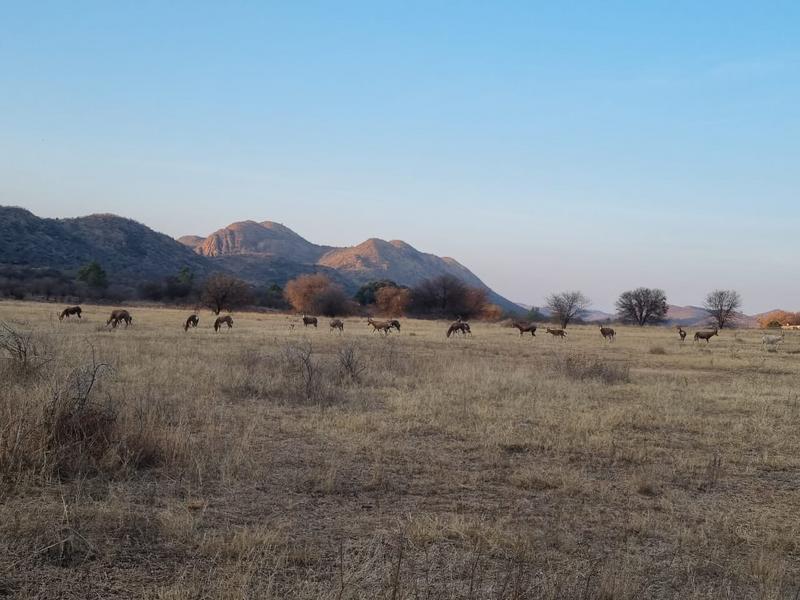 4 Bedroom Property for Sale in Vredefort Free State